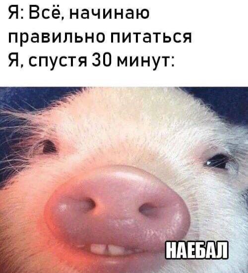 Веселое настроение в картинках 01.02.26