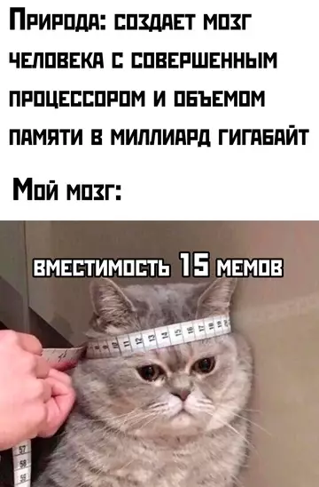 Картиночки, баянчики 09 марта