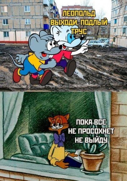 Среды картинки