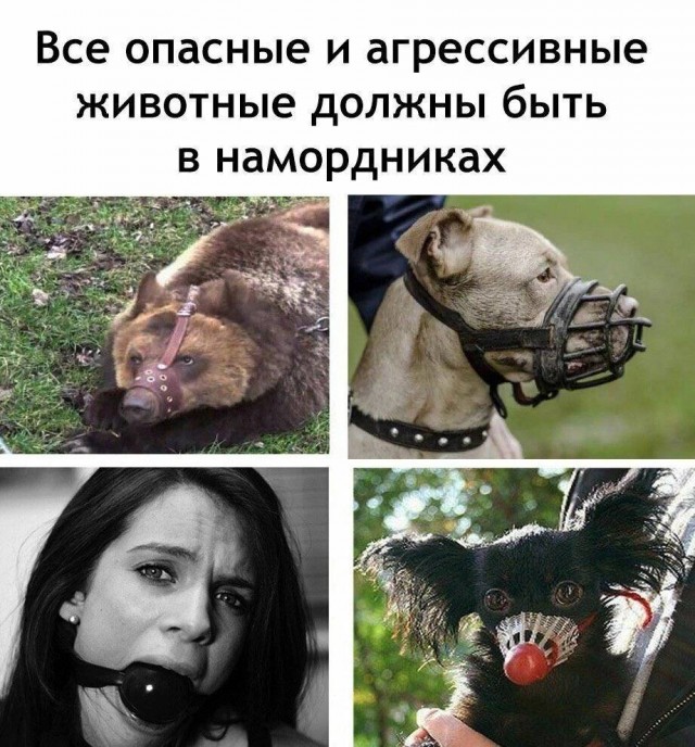Картинки для деградации 170 (разной степени свежести)
