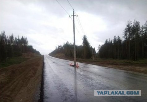 Только в России
