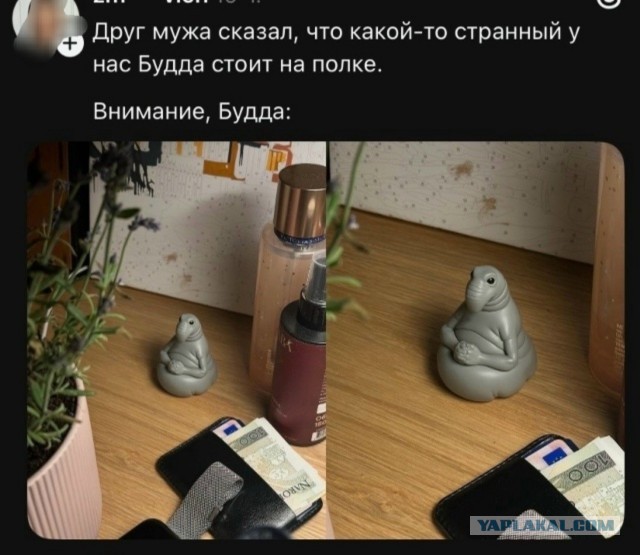 Веселые картинки в пятницу (31.07)