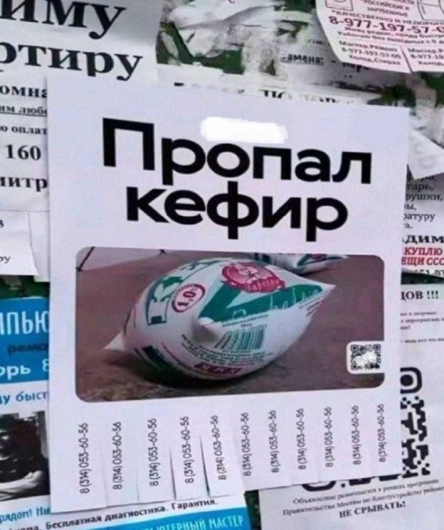 Веселые картинки в пятницу (04.09)
