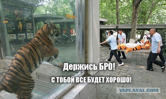 Внешность обманчива)