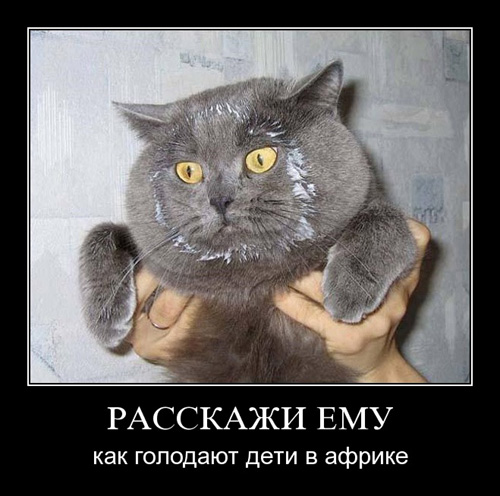 Унываторы (19 фото)