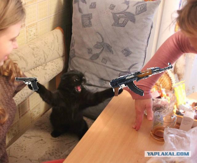 Стоять бояться!