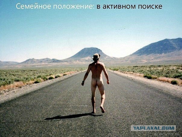 Весеннее обострение. Ростов-на-Дону.