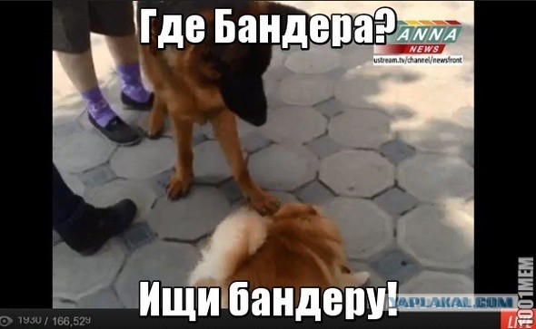 Подборка фото с референдума