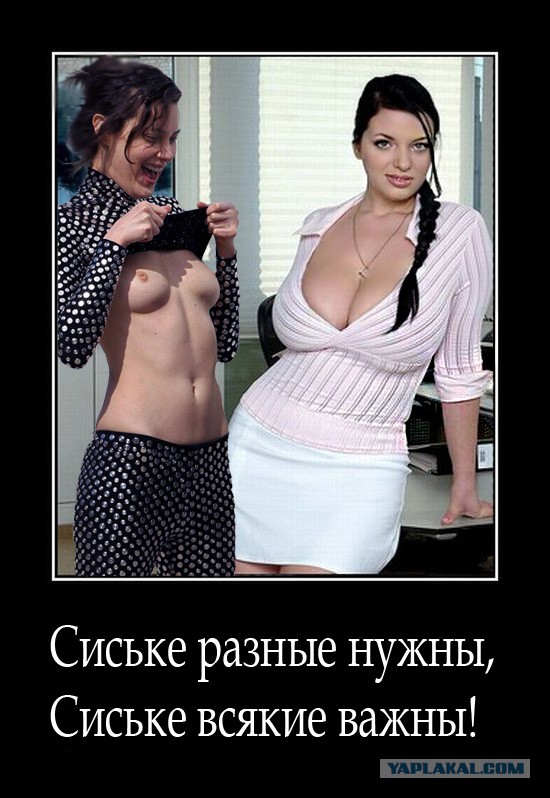фотожаба из фотожаб