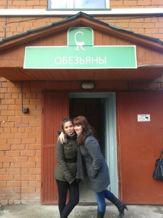 Чутка картинок