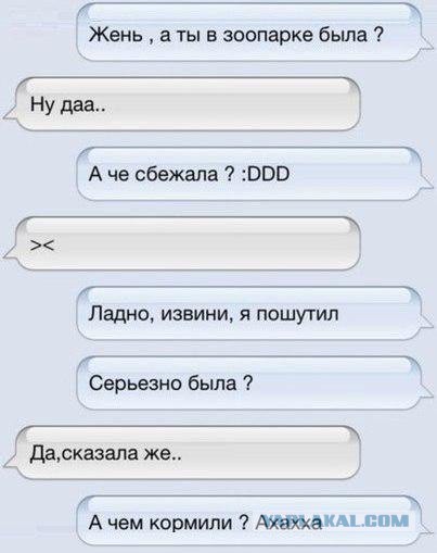 24 СМС от Циников