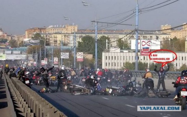 Картинки