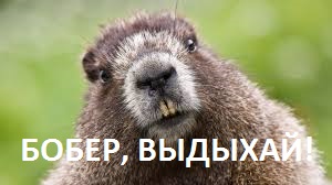 Кулак