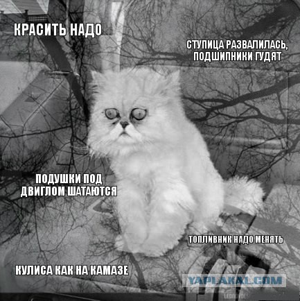 Тлен