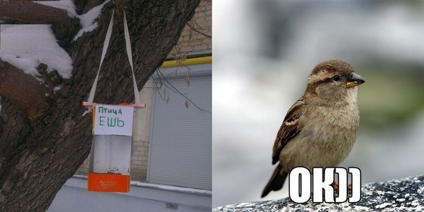 Картинки с буквами