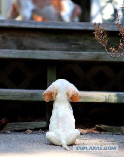 Вторничные картинки