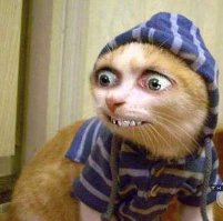Главная ошибка женщин, которые хотят замуж
