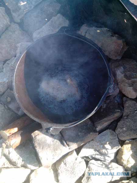 Кулинарный туризм.