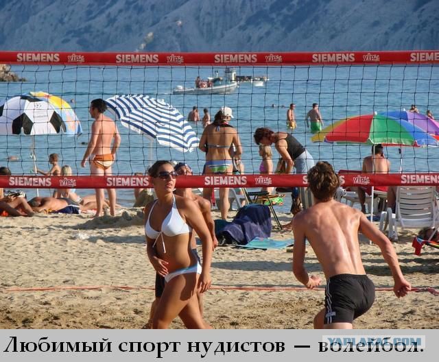 Картинки на пятницу.