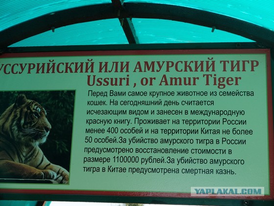 Парк львов Тайган, Крым