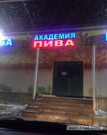 Кто какой ВУЗ закончил