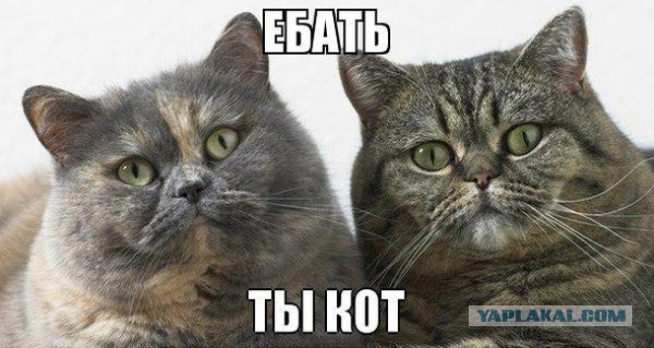 Ребята подросли
