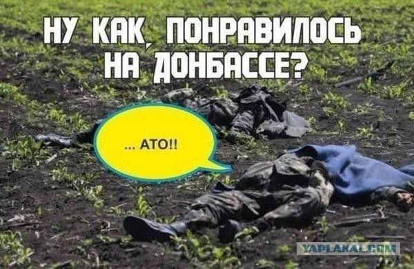 Зачем поляки поддерживают бандеровцев и войну
