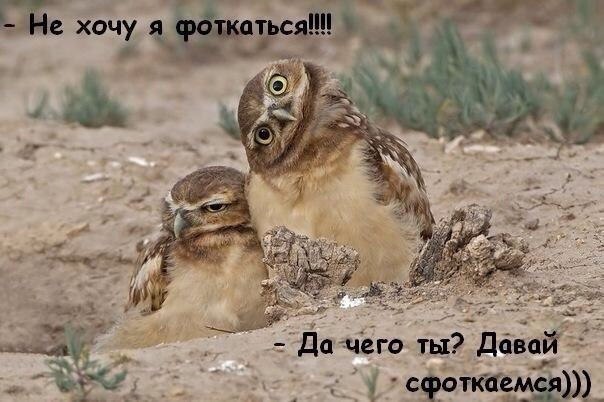 Картинки и прочее