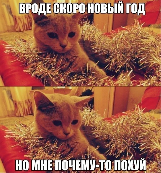 Картинки и демотиваторы