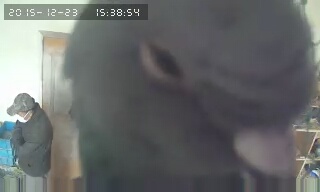 За что я люблю китайцев