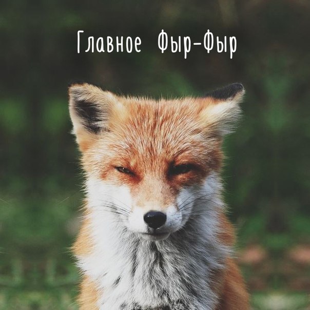 Картинки разные 2