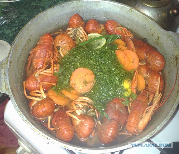 Раки