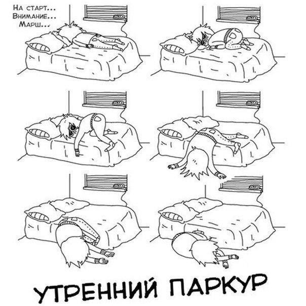 Свежая подборка прикольных картинок