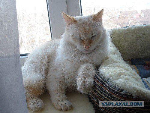 Те, которым мы помогли.