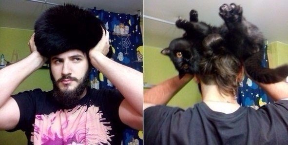 Мохнатые беспредельщики