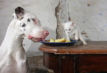 Для поднятия настроения.