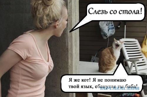 Наркоман, штоле? Тогда заходи