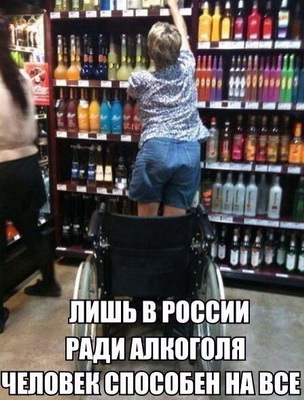 Тупые люди. Тупые животные. Тупые высказывания. Все тупые!