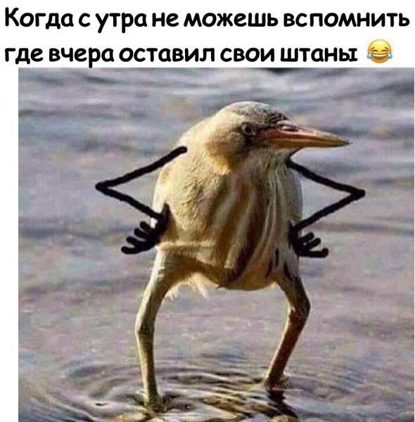 Подборка интересных и веселых картинок