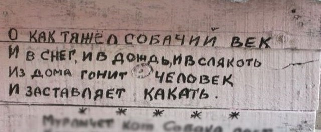 Уличные надписи с глубоким смыслом