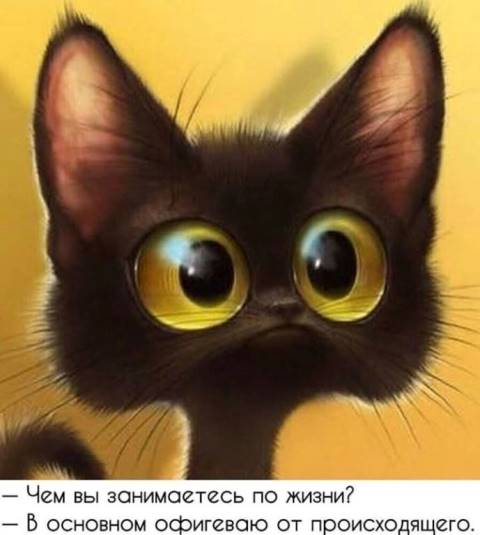 Зря вы это всё...