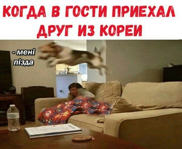 Нестандартный юмор