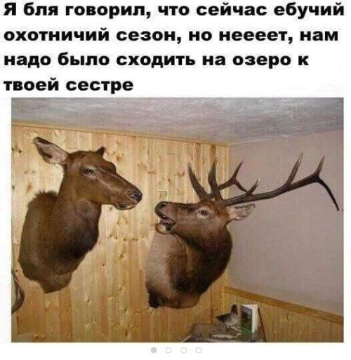 Нестандартный юмор