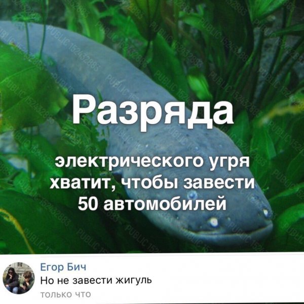 Нестандартный юмор