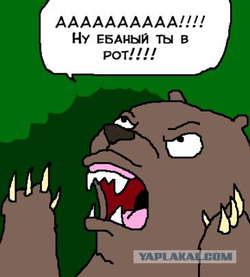 Улов из социальных сетей - леопарды!