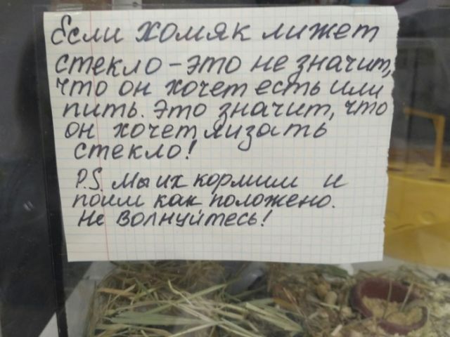 Смешные объявления, надписи и вывески