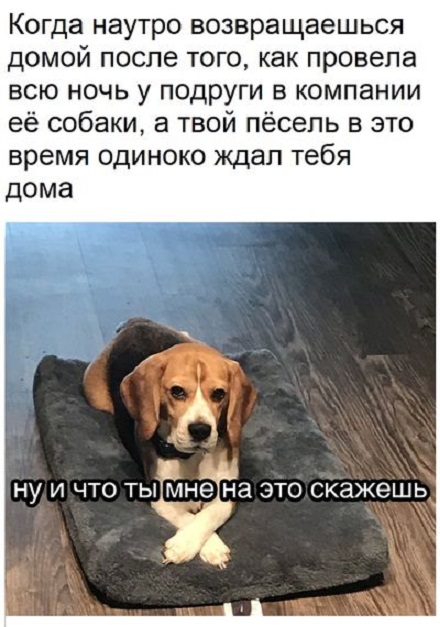 Прикольные картинки.