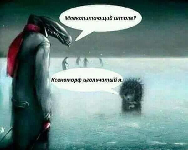 Немного странного юмора на вечер