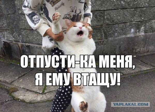 Средняя пензия в 2019-м. Грустный юмор