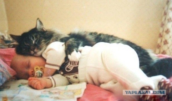 Передумал